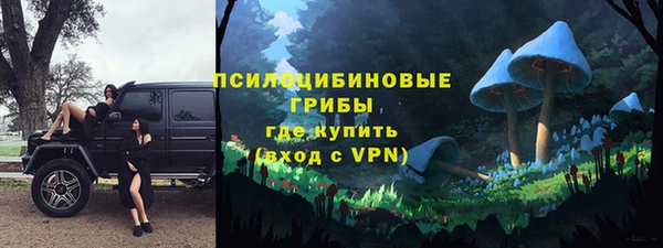 ешки Володарск