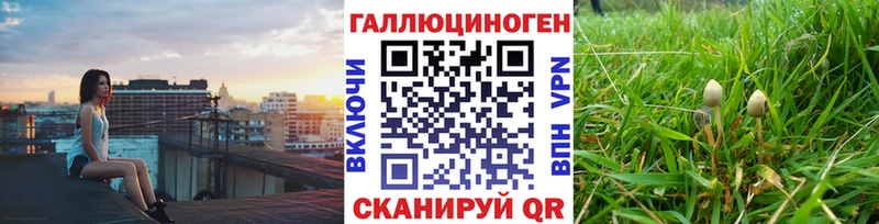 Псилоцибиновые грибы MAGIC MUSHROOMS  Жуков 